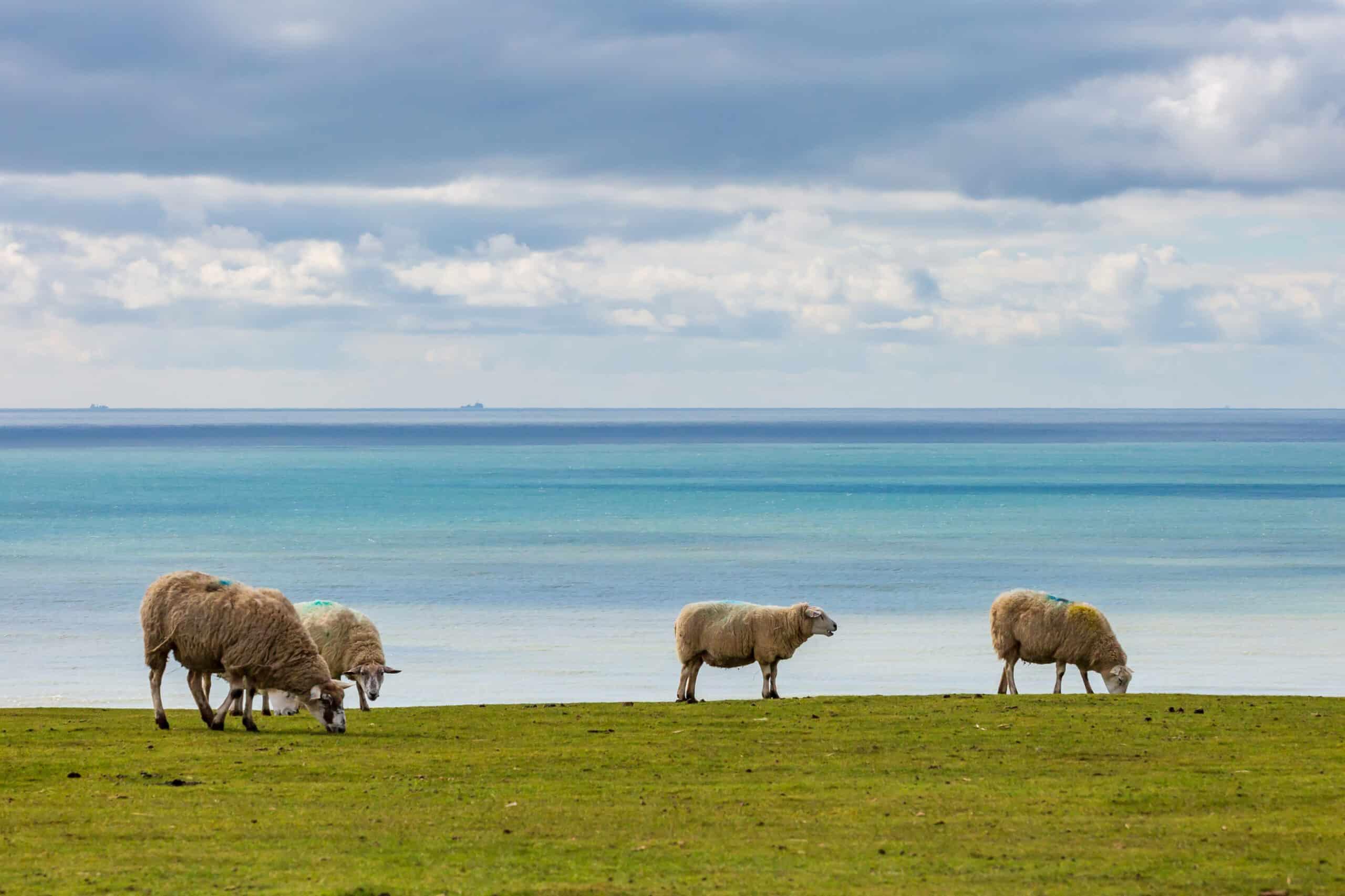 Eastbourne Sightseeing