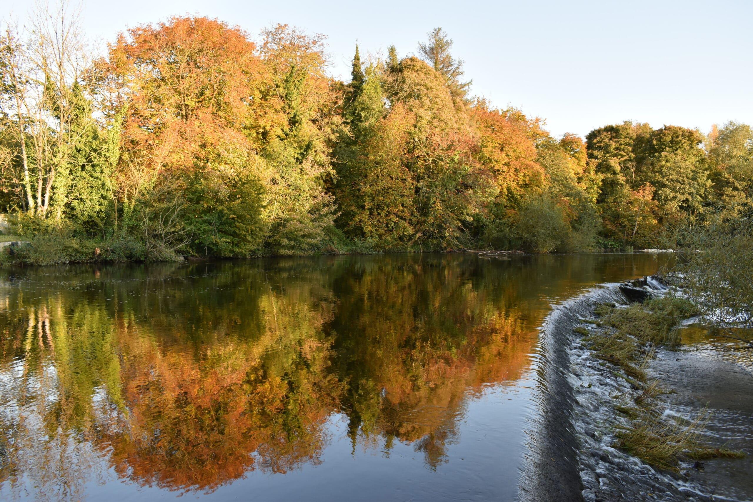 Linear Park