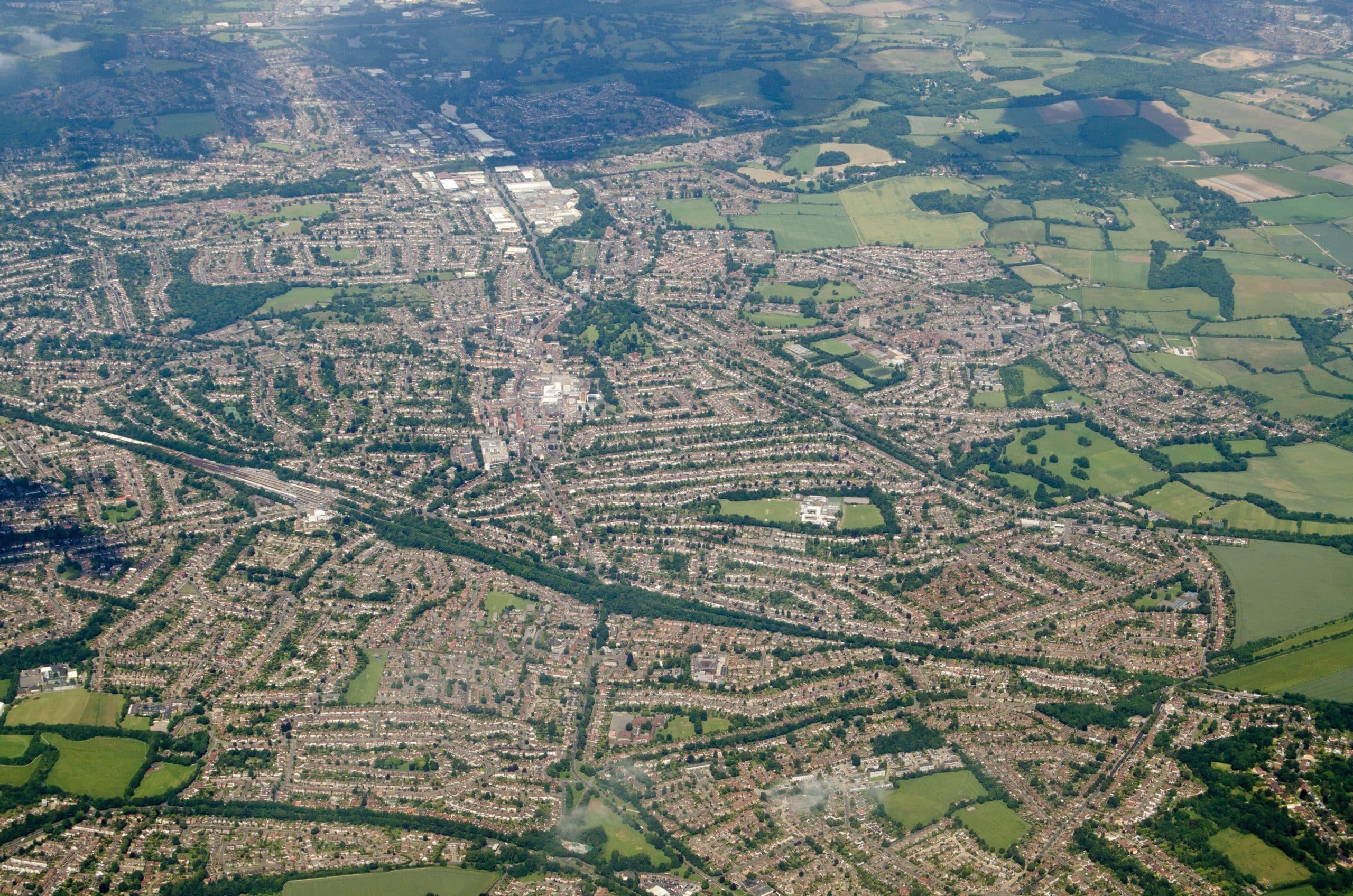 Orpington