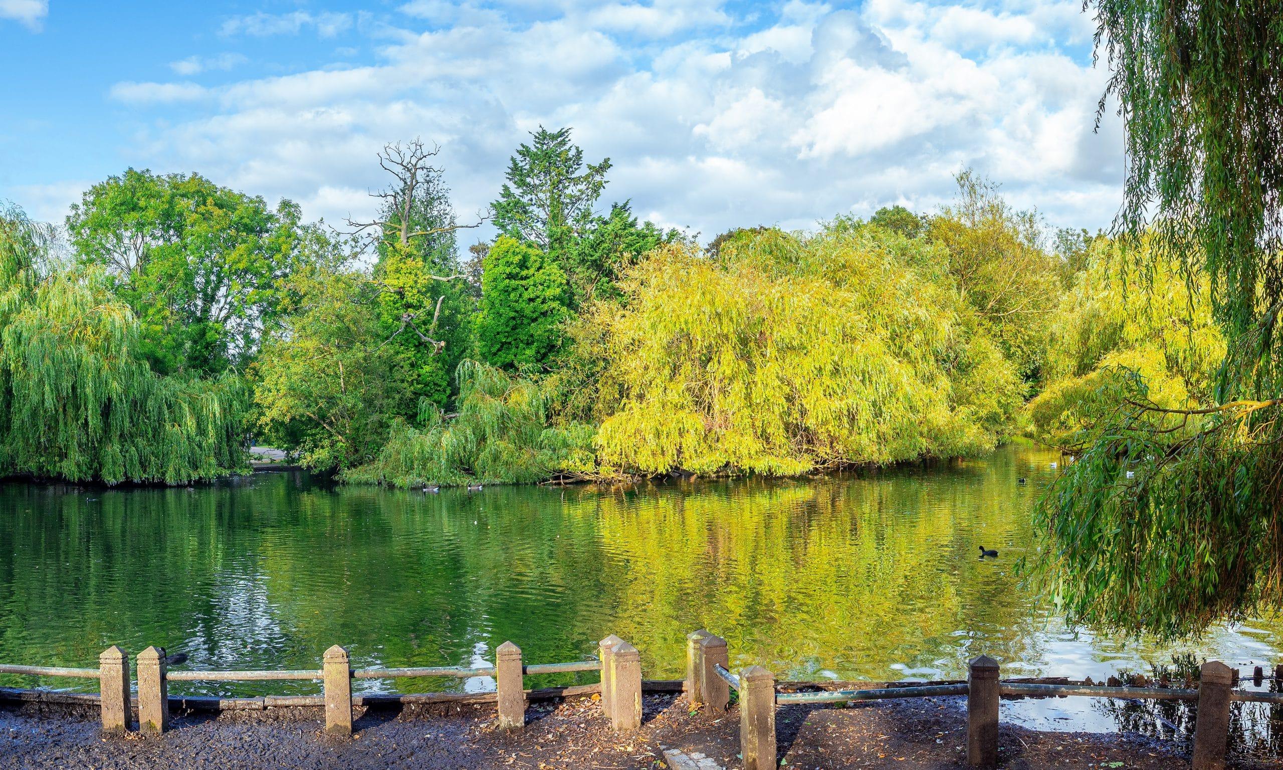 Priory Gardens, Orpington