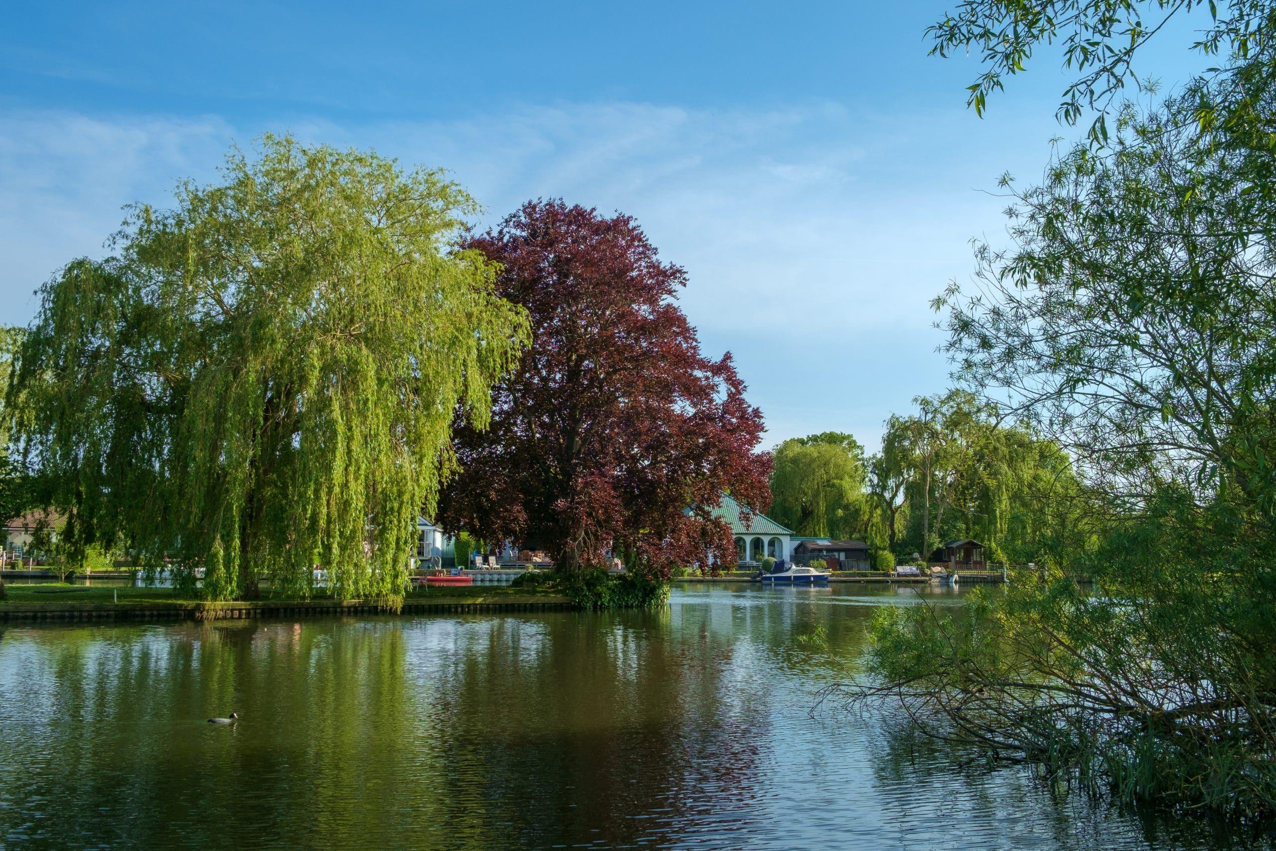 Shepperton