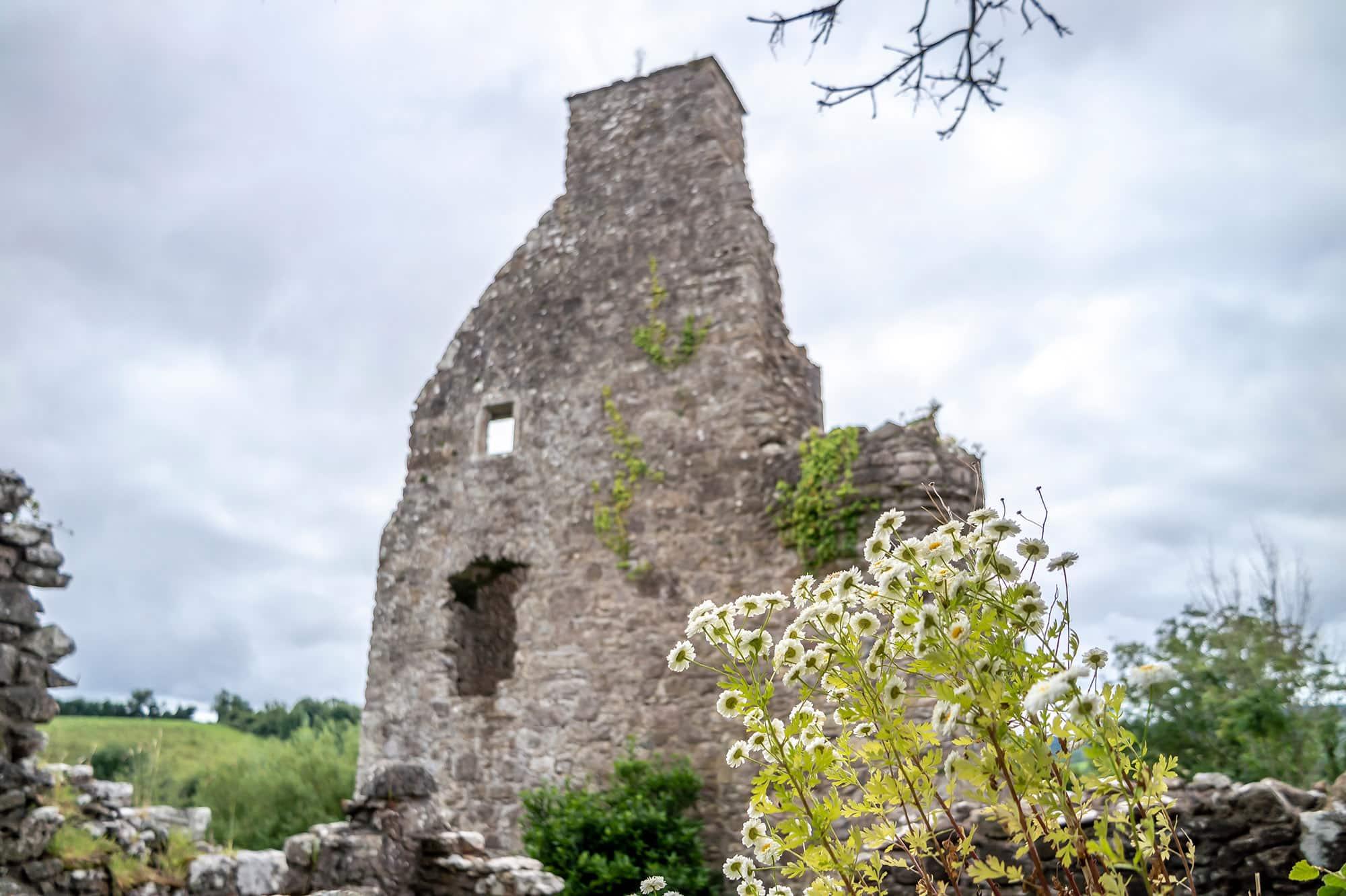 261, Belfast-Dungannon-Enniskillen