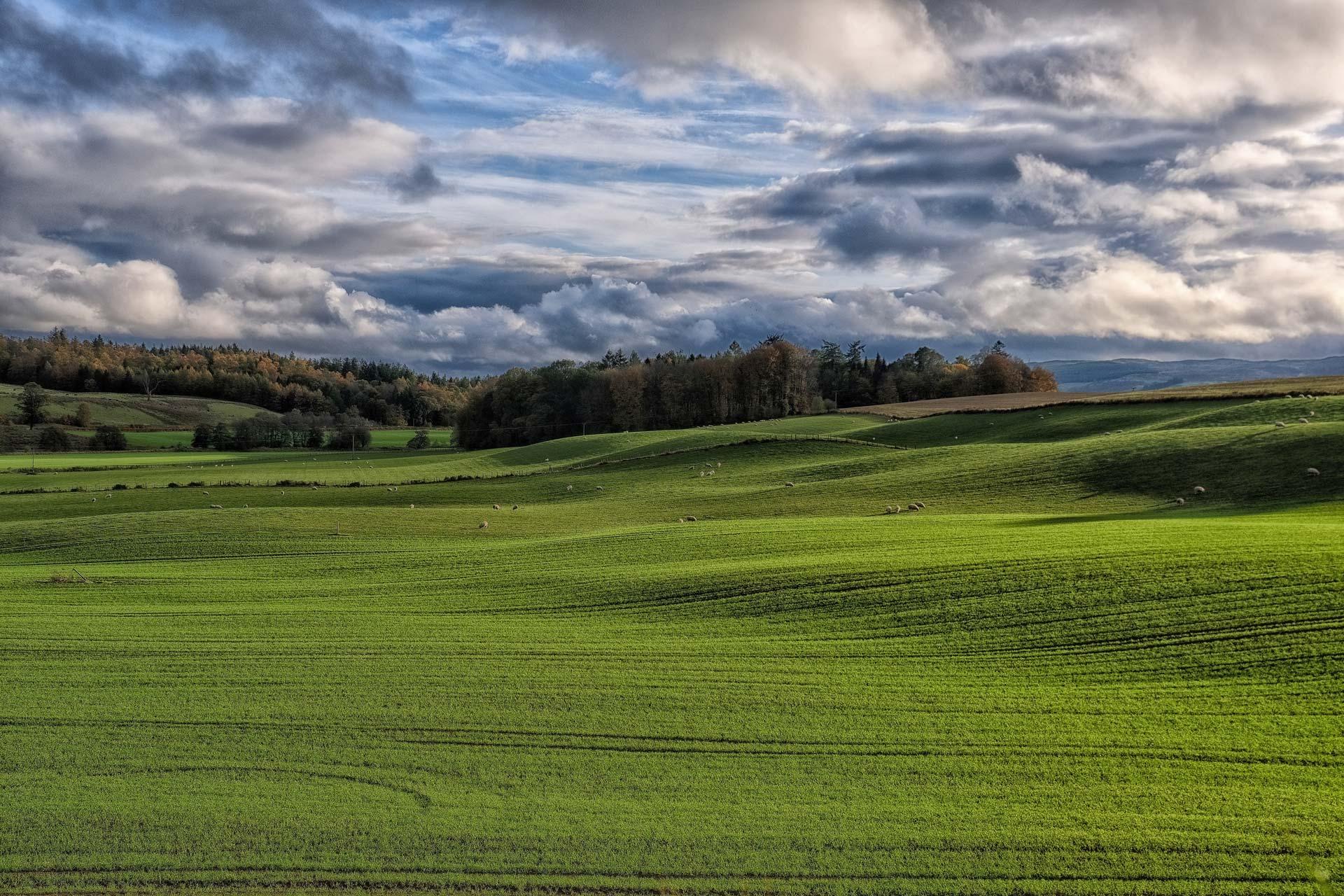 246, Cumnock-Sanquhar-Dumfries