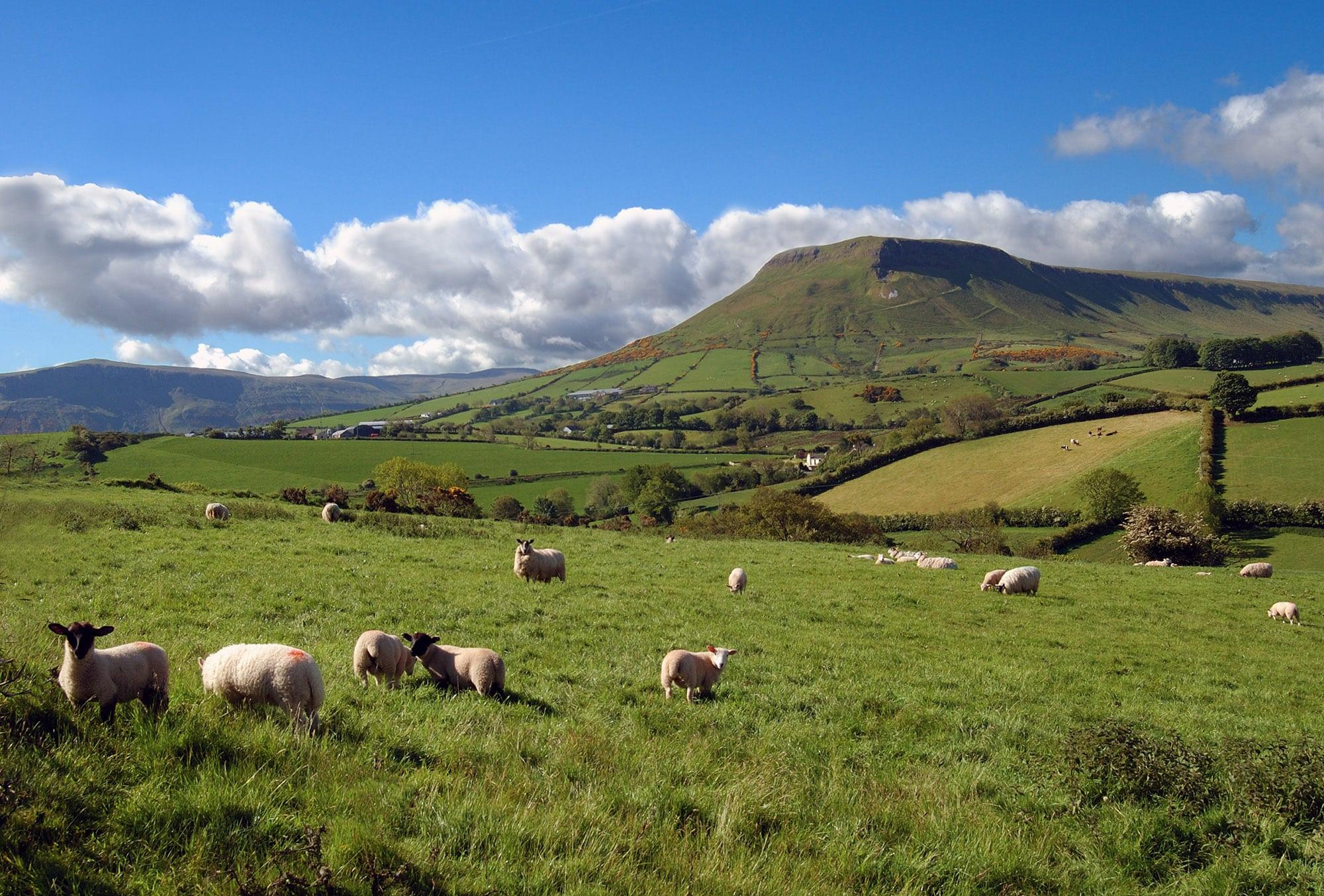 Cushendall