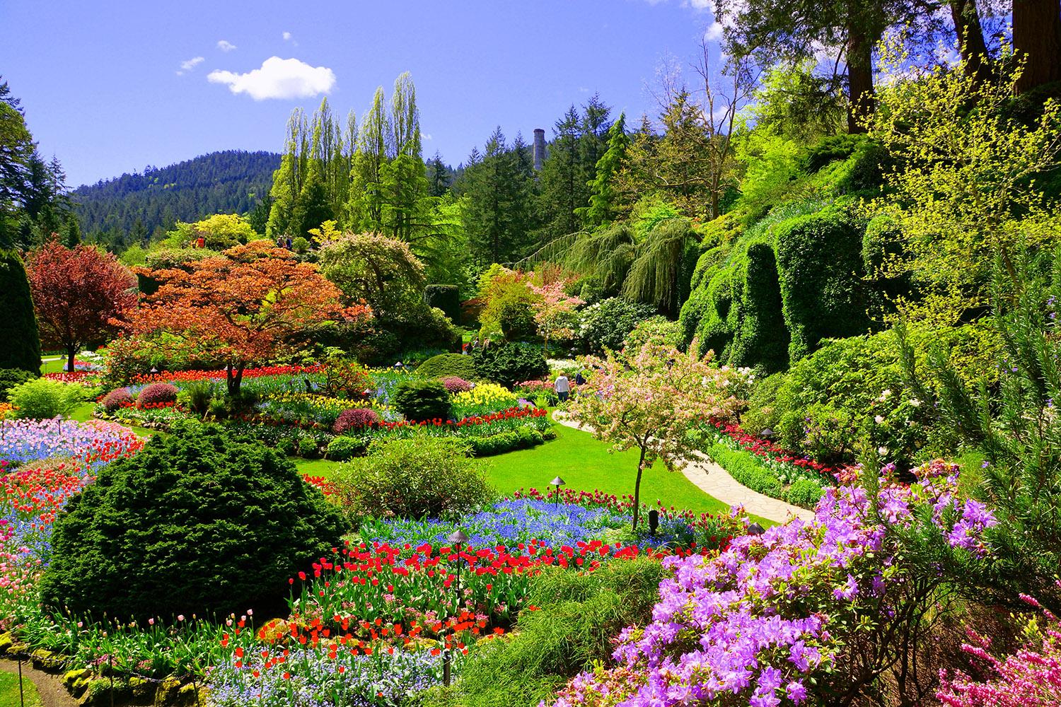 Royal Botanic Gardens