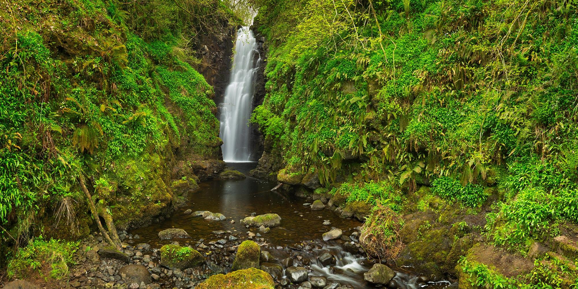 Cranny Falls and Glenariff Forest Park