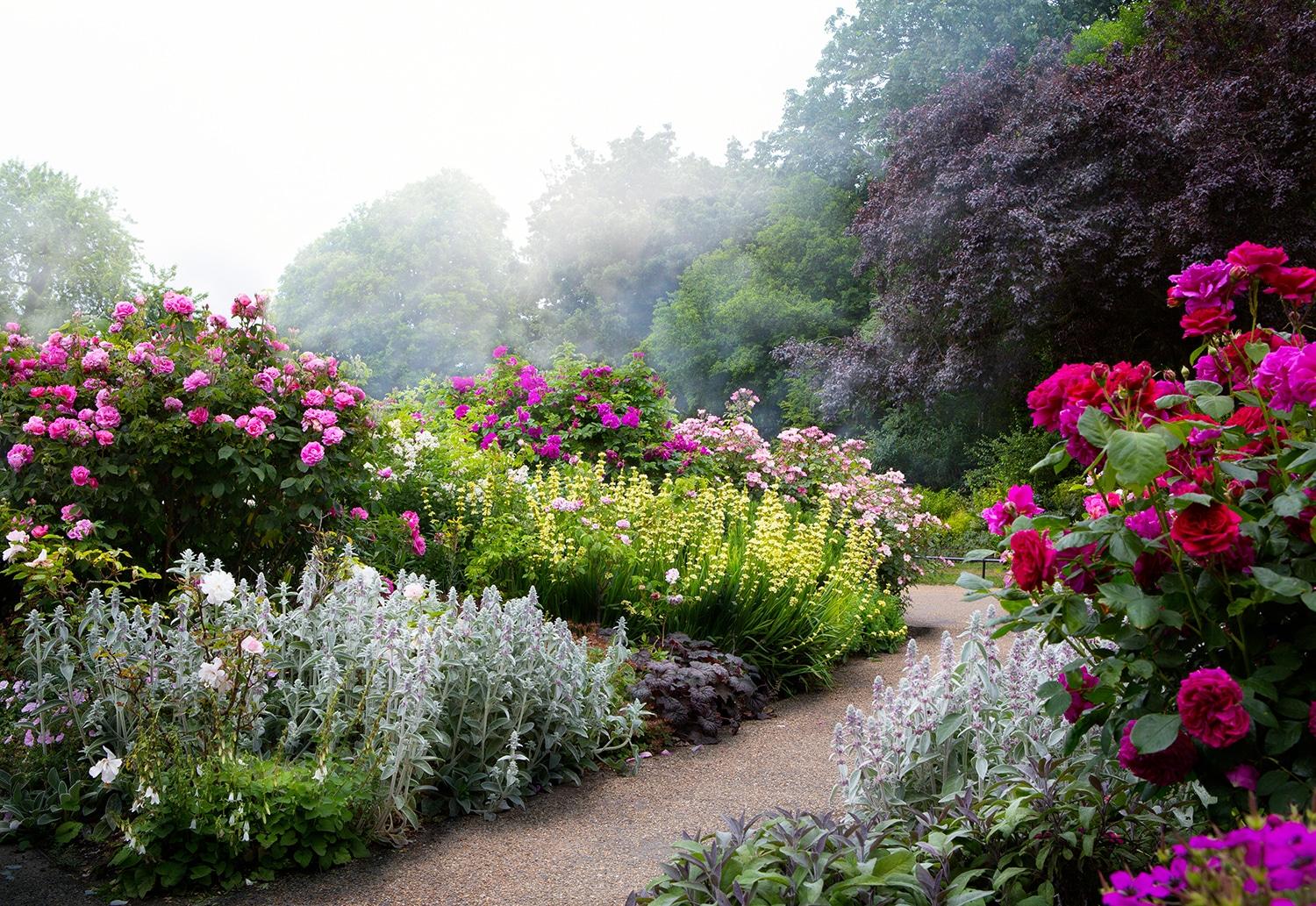 Exquisite gardens