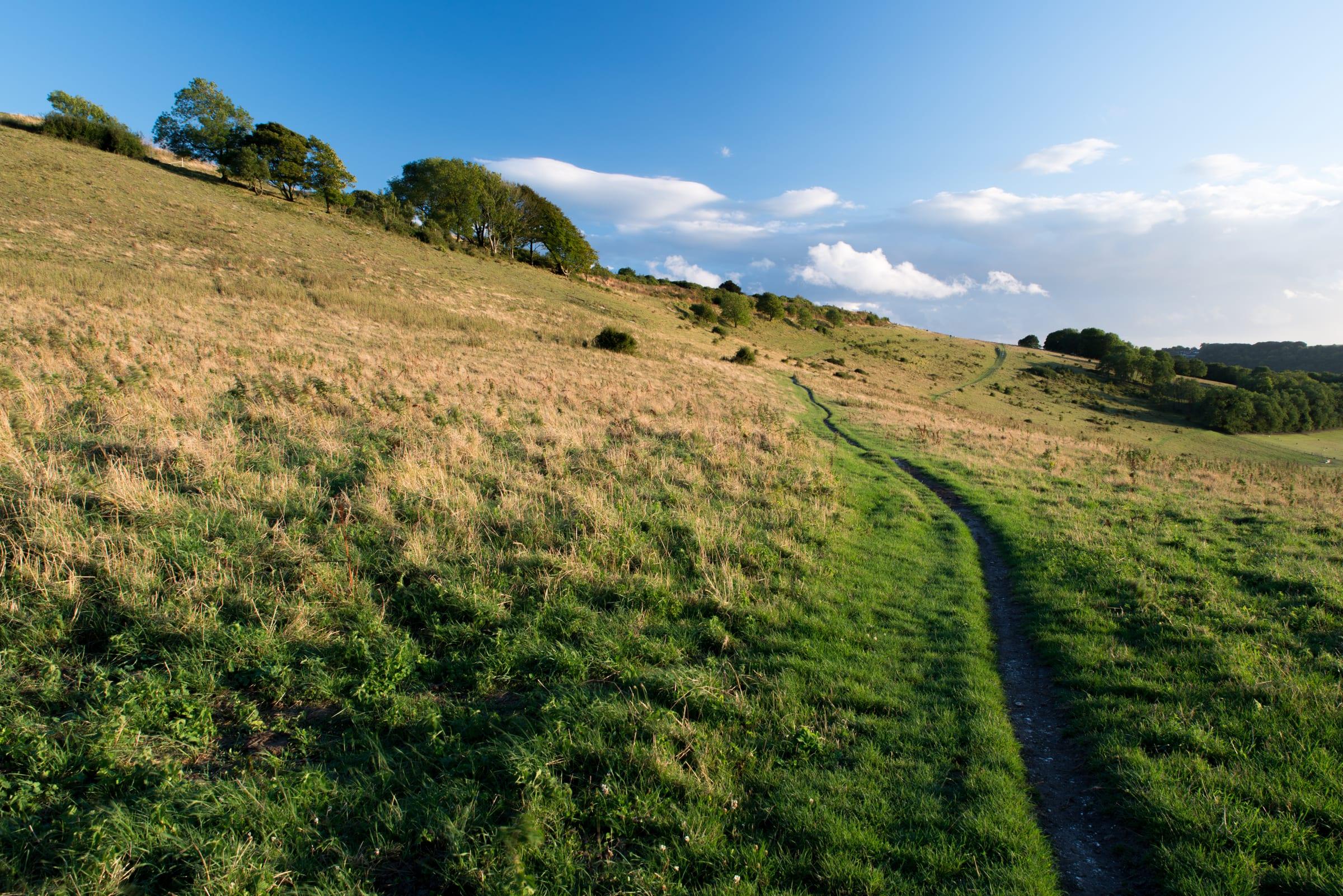 Cissbury Ring