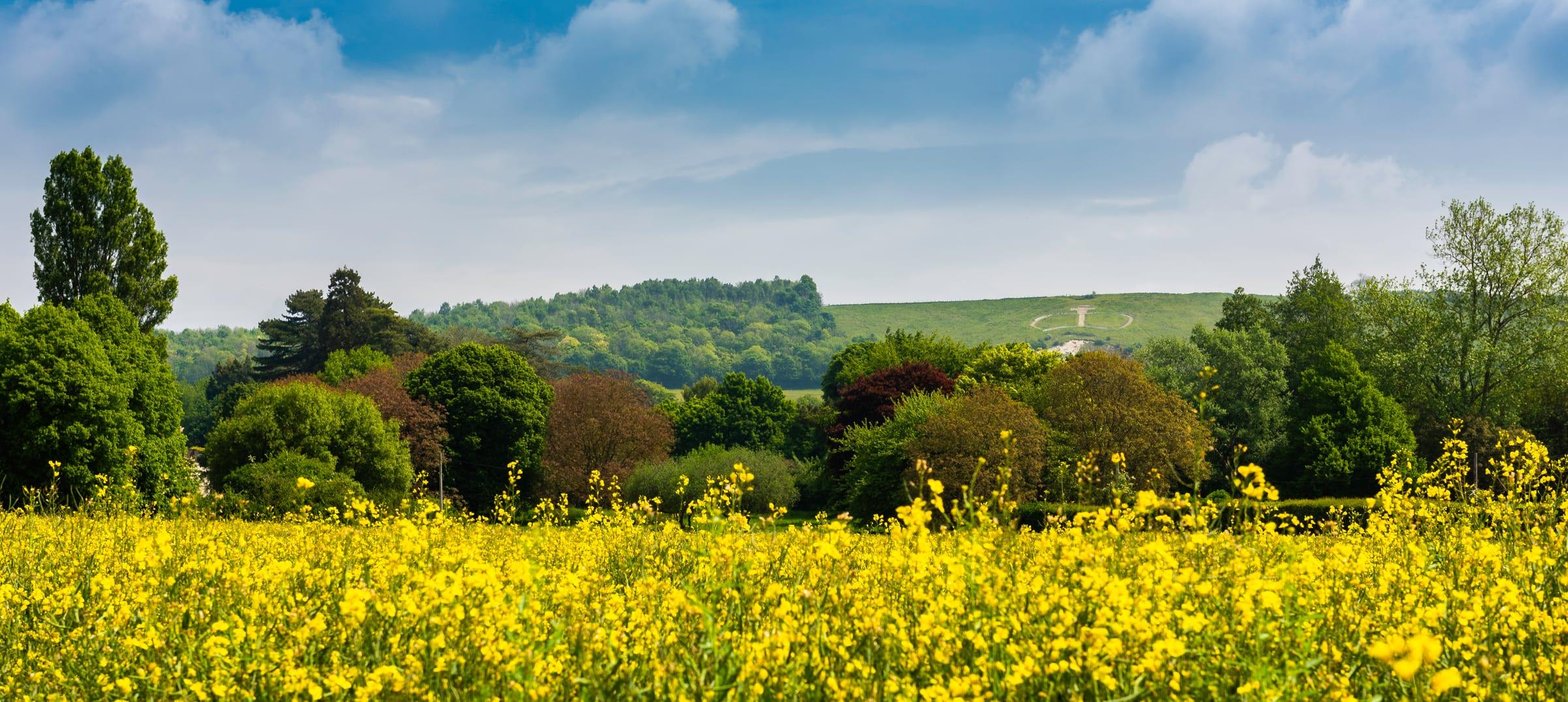 Blue Bell Hill Viewpoint, Medway