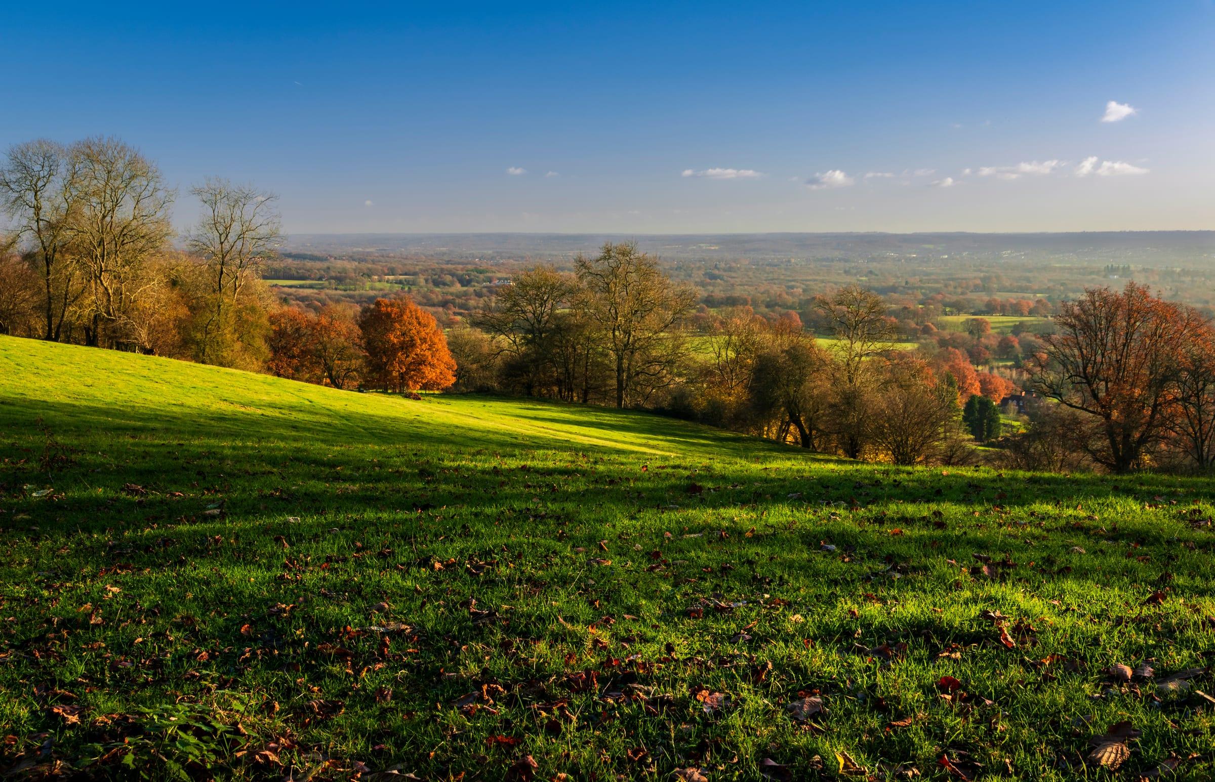 Boxley Warren, Medway
