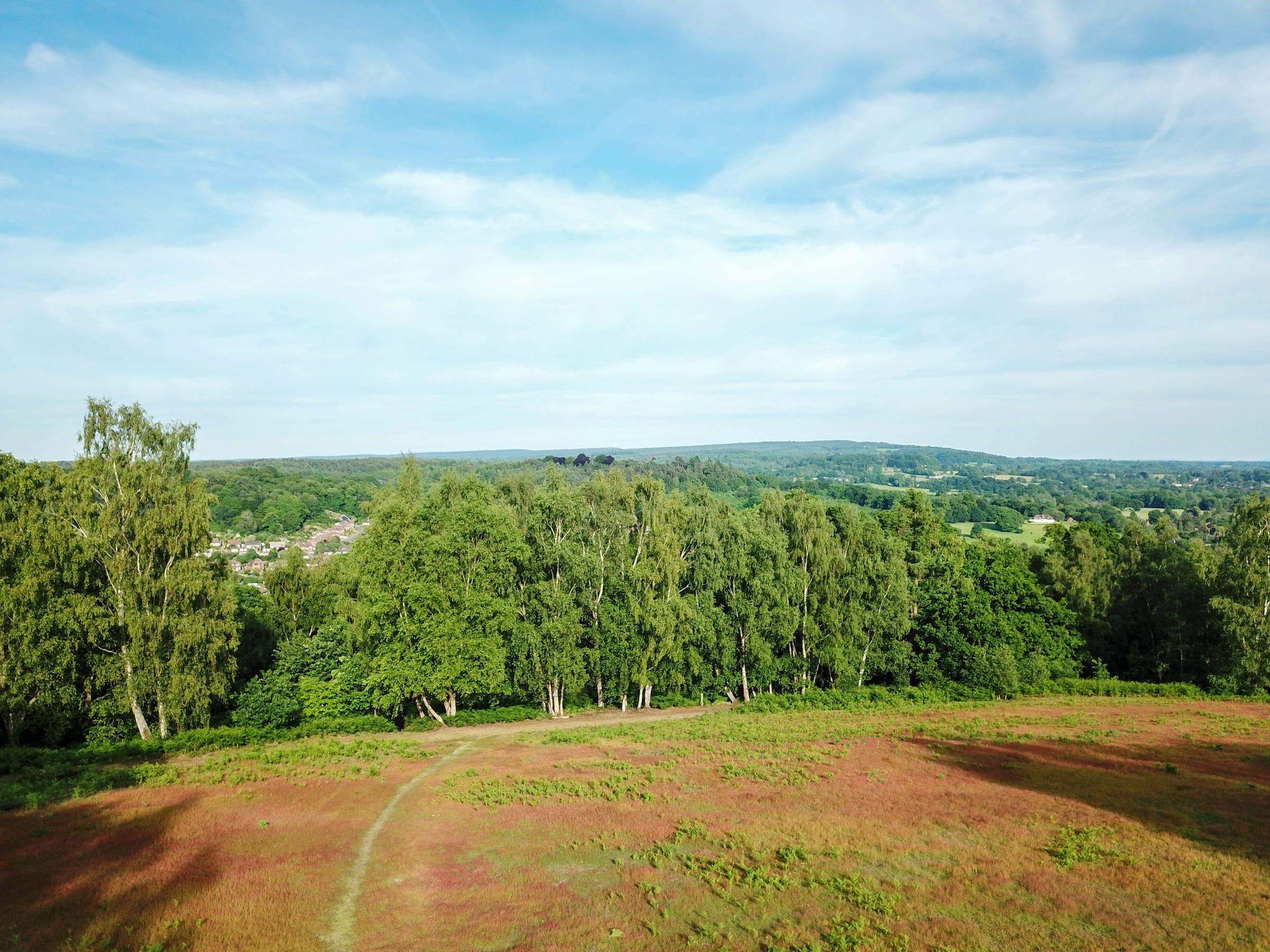 Cookham Wood, Medway