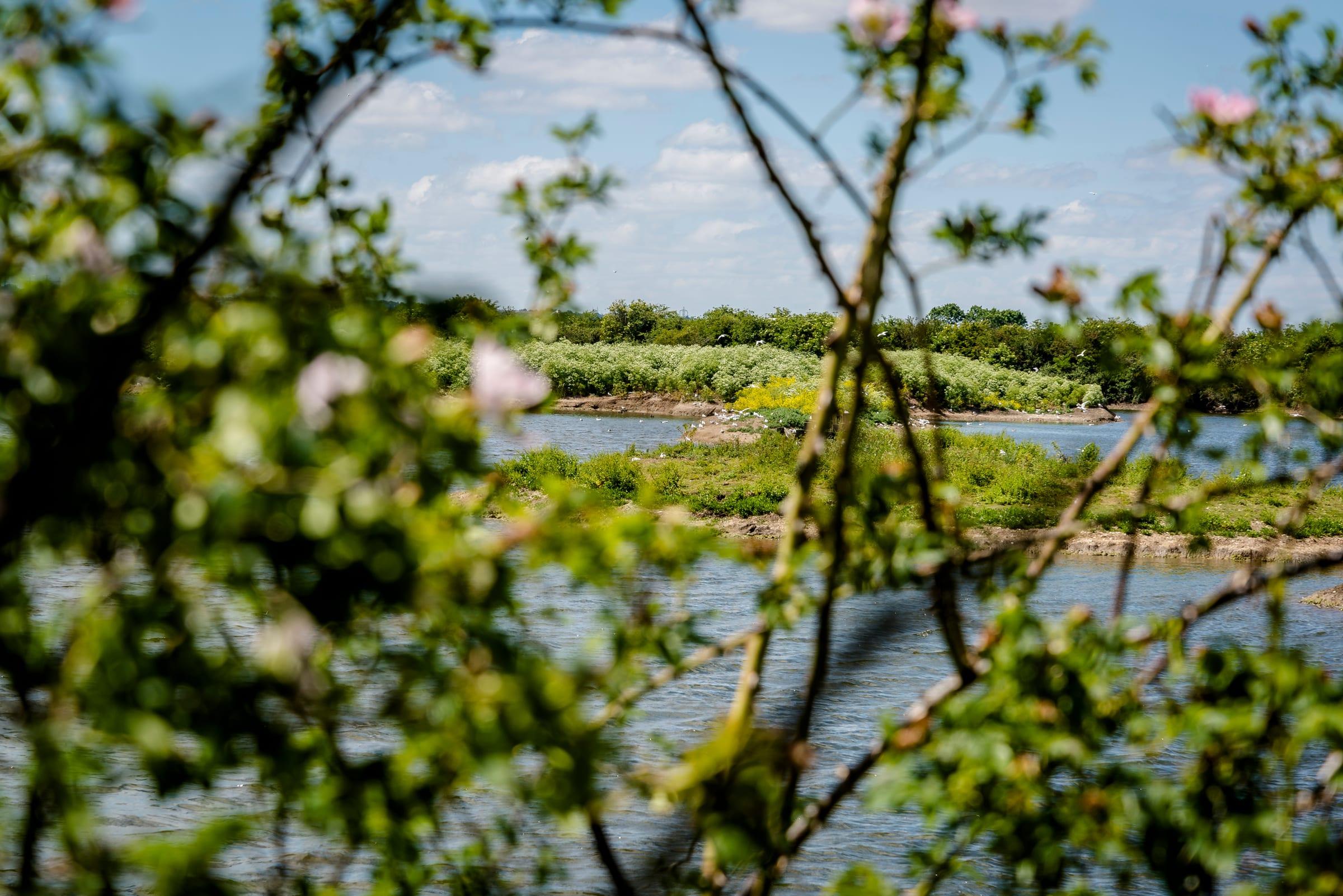 RSPB Cliffe Pools, Cliffe