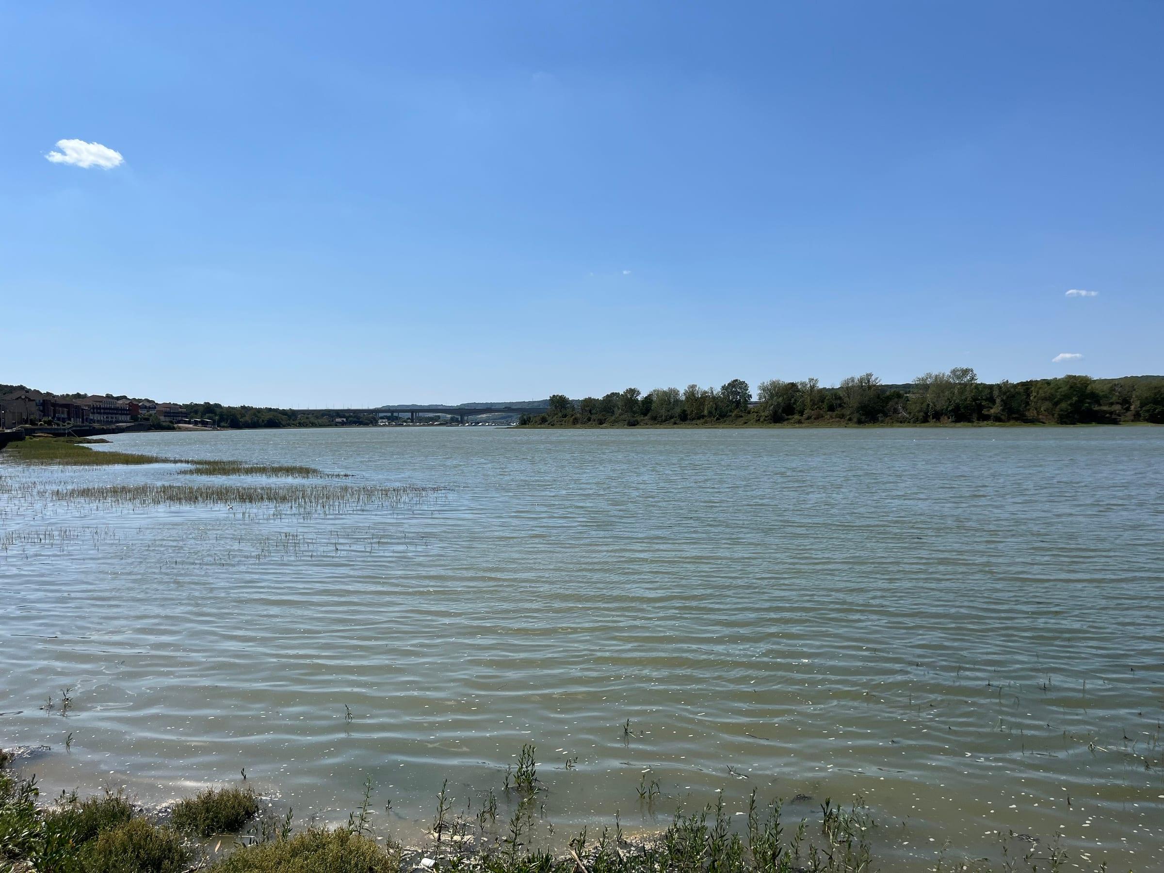 River Medway, Medway