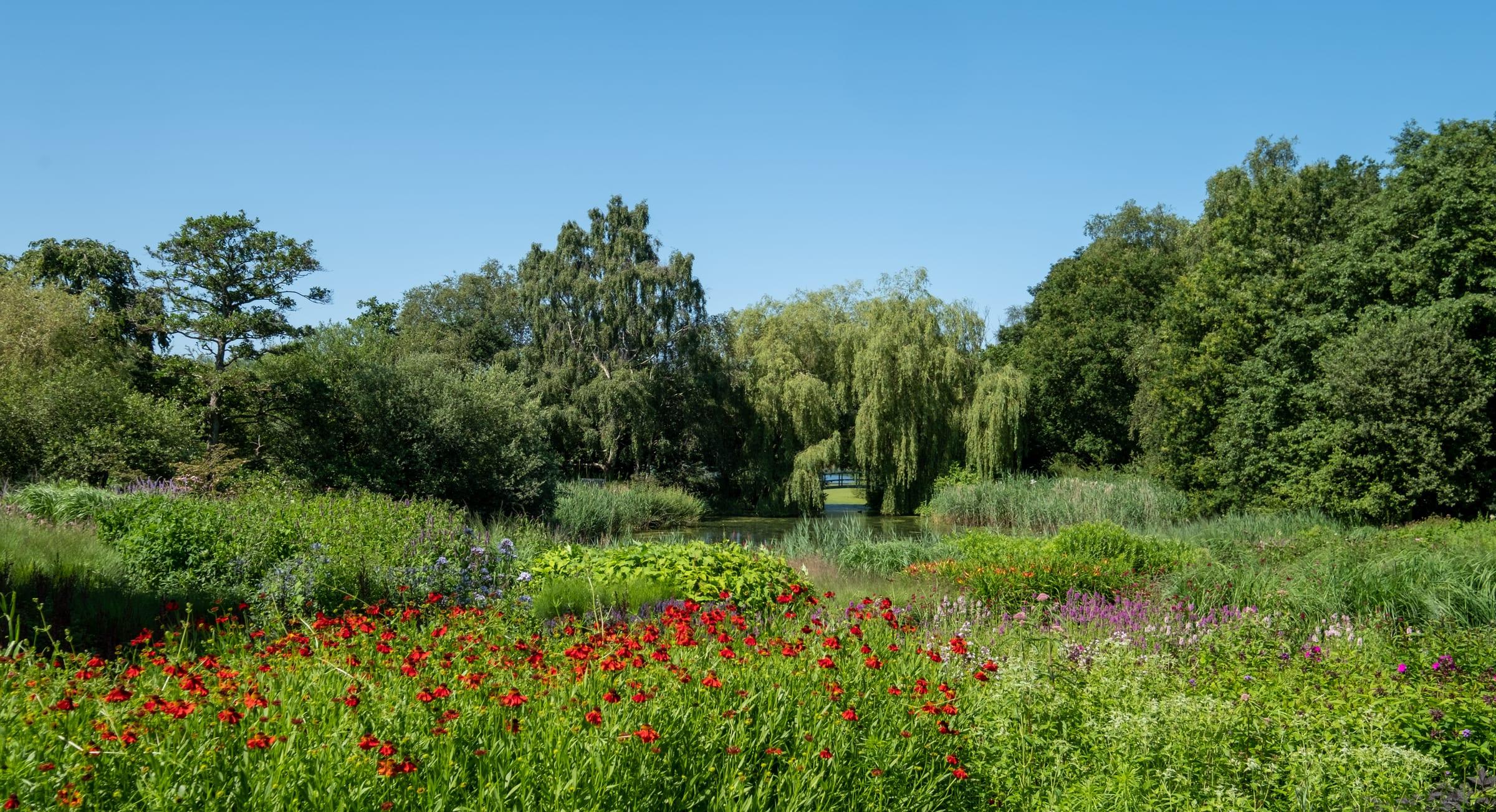 Pensthorpe Natural Park