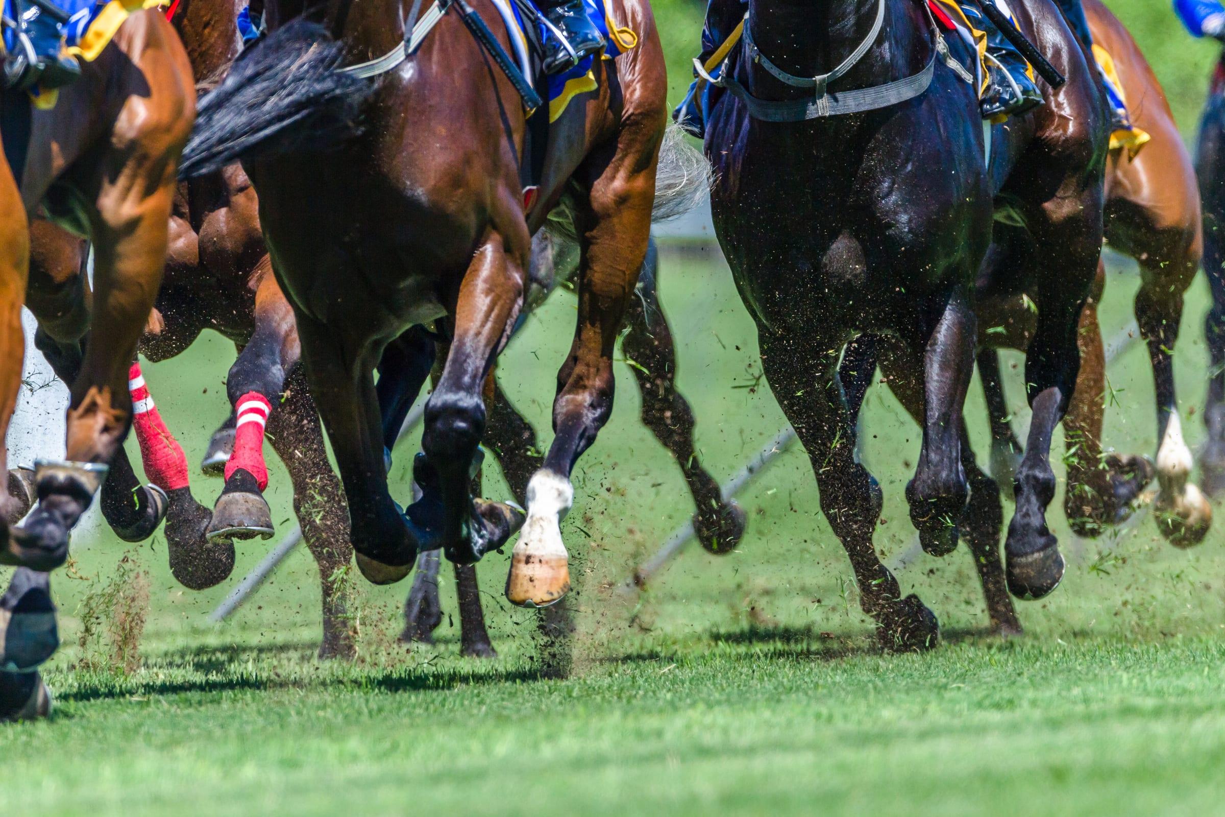 Fakenham Racecourse